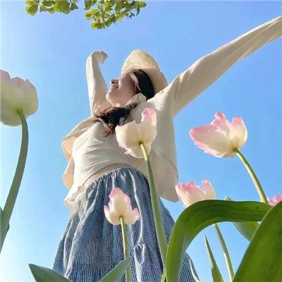 邦妮·帕克的故事