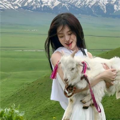 小鹬初登场